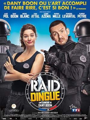 Raid dingue